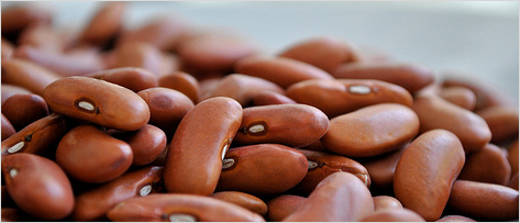 Divertículos e diverticulite aguda: posso comer sementes, grãos e fibras?