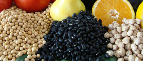 Fibras alimentares: o que são, funções e os seus benefícios à saúde.