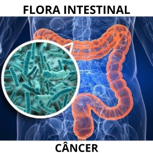 Flora intestinal e a sua relação com o tratamento do câncer.