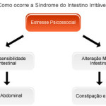 Síndrome do Intestino Irritável