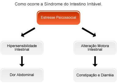 Síndrome do Intestino Irritável
